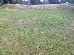HOA REQUESTED MOW AFTER...