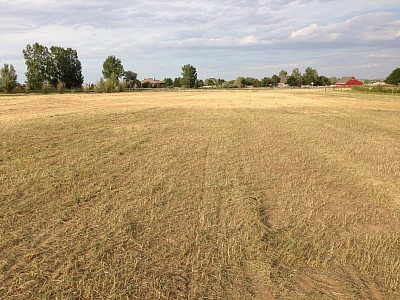 ...AFTER