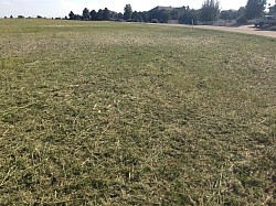 DEVELOPER MOW AFTER...