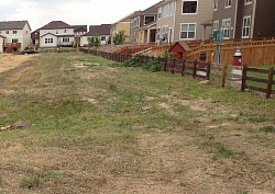 HOA MOW AFTER...