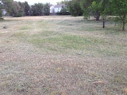 WEED ABATEMENT, (CITY SUMMONS) AFTER...