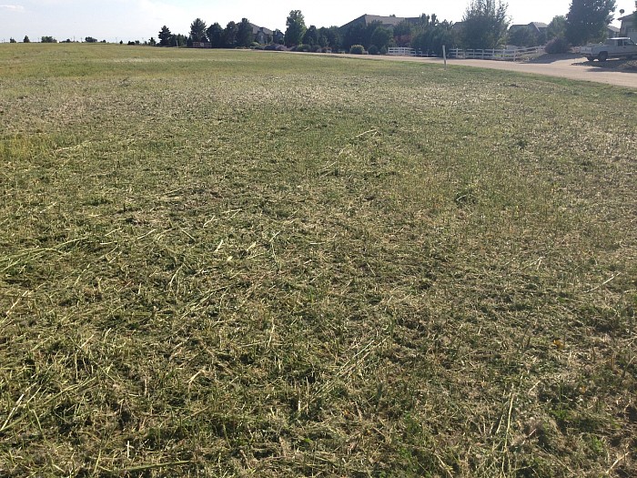 DEVELOPER MOW ... AFTER