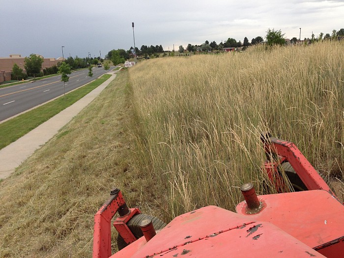 REGIS JESUIT HIGH SCHOOL HILLSIDE MOW