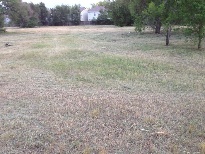WEED ABATEMENT (CITY CITATION - SUMMONS) ... AFTER 