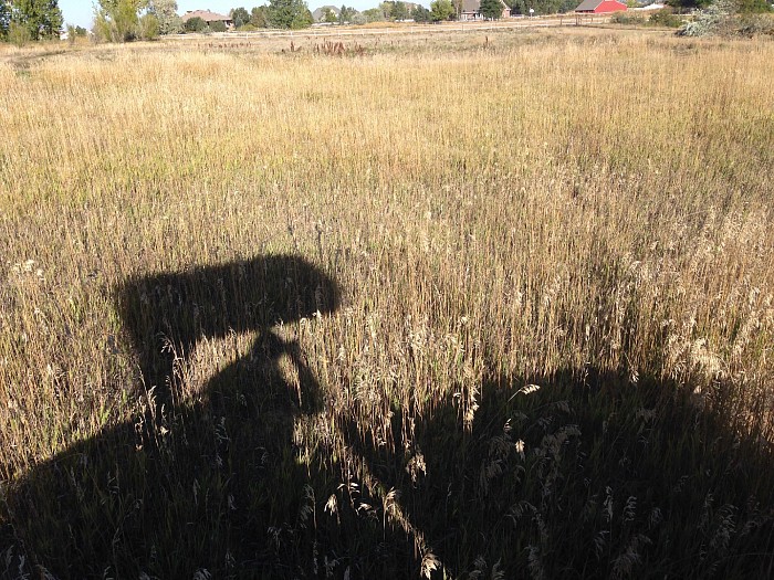INDIVIDUAL HOMEOWNER PASTURE MOW ... BEFORE